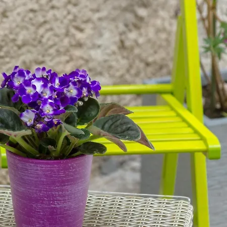 Bernard Old Town Apartment Split